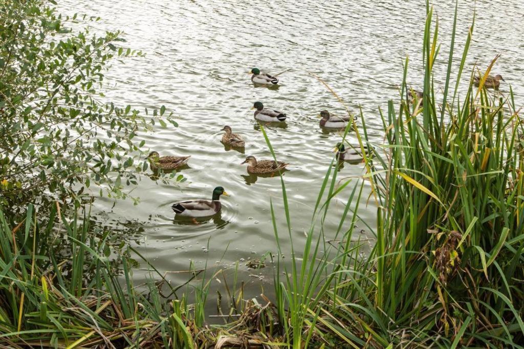 Mallard Lake South Cerney Exterior foto